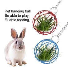 Pet Metal Hanging Grass Ball, product photo 3 of 8