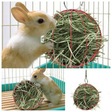 Pet Metal Hanging Grass Ball, product photo 4 of 8
