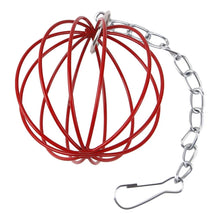 Pet Metal Hanging Grass Ball, product photo 8 of 8