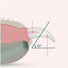 Pet Nail Clipper with LED Light, product photo 4 of 7
