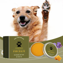Pet Paw Balm for Cracked Paws, product photo 3 of 6