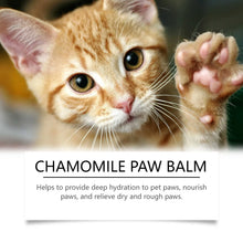Pet Paw Balm for Cracked Paws, product photo 5 of 6