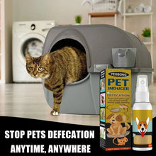 Pet Potty Training Spray, product photo 3 of 6