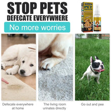 Pet Potty Training Spray, product photo 4 of 6
