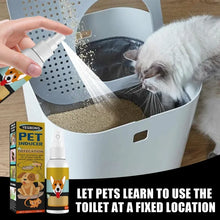 Pet Potty Training Spray, product photo 5 of 6