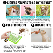 Pet Potty Training Spray, product photo 6 of 6