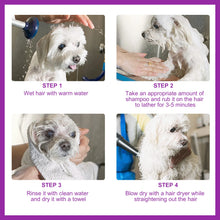 Pet Shampoo with Long-Lasting Fragrance, product photo 4 of 6