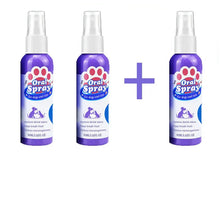 Pet Teeth Cleaning Spray, product photo 5 of 6