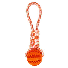 Alternate view of the Pet Tooth Cleaning & IQ Treat Ball