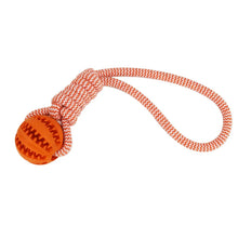 Pet Tooth Cleaning & IQ Treat Ball, product photo 4 of 4