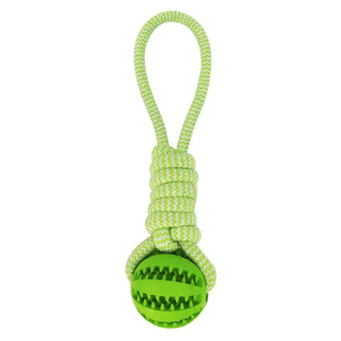 Pet Tooth Cleaning & IQ Treat Ball in Green