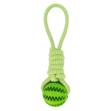 Pet Tooth Cleaning & IQ Treat Ball in Green