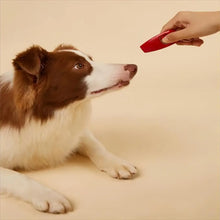 hand holding a dog whistle and clicker with a dog