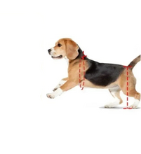 Pet Walker For Hind Leg and Hip Support, product photo 4 of 4