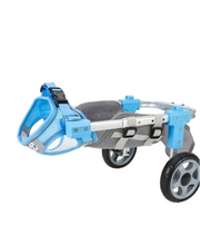 Pet Walker For Hind Leg and Hip Support in Two Wheels