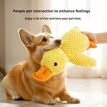Plush Dog Toy Duck, product photo 8 of 9