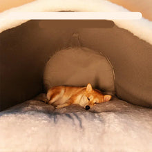 Portable Indoor House for Pets, product photo 5 of 16