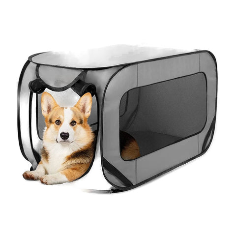 Portable Large Pop Up Dog Bed on a white background