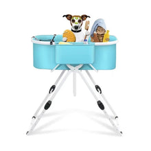 Blue elevated pet bathtub with dog and bathing accessories