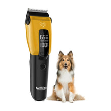 Professional Pet Hair Trimmer on a white background