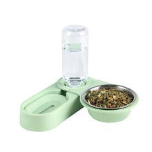 Rabbit Food and Water Bowl in Light Green