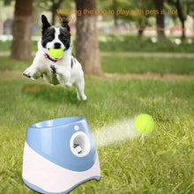 ball launcher with a dog pitching a ball
