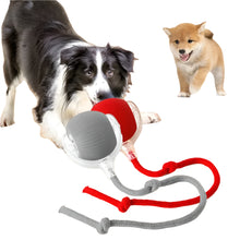 dogs playing with a red and gray rolling ball toy