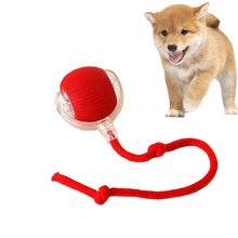 red rolling ball toy with a dog on background