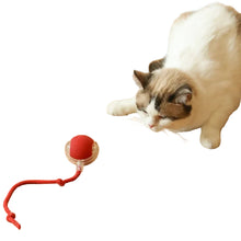 cat playing with a red rolling ball toy