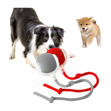 Rechargeable Rolling Ball Toy on a white background