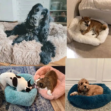 Rectangle Plush Dog Bed, product photo 4 of 16