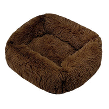 Rectangle Plush Dog Bed in Coffee