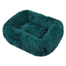 Rectangle Plush Dog Bed in Cyan