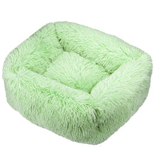 Rectangle Plush Dog Bed in Green