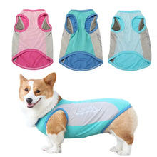 Reflective Cooling Pet Vest, product photo 4 of 8