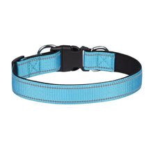 Reflective Dog Collar, product photo 3 of 6