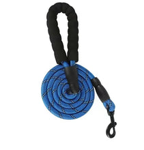 Reflective Dog Leash in Blue