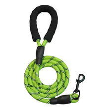 Reflective Dog Leash in Green