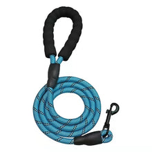 Reflective Dog Leash in Light Blue