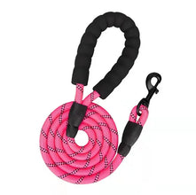 Reflective Dog Leash in Pink