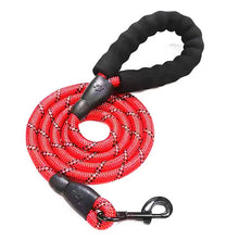 Reflective Dog Leash in Red