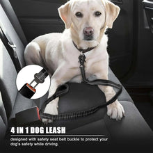 Reflective Shock Absorbing Pet Leashes, product photo 4 of 15