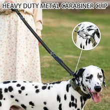 Reflective Shock Absorbing Pet Leashes, product photo 5 of 15