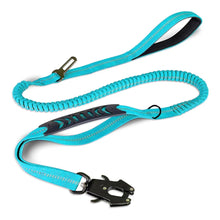 Reflective Shock Absorbing Pet Leashes in Sky Blue