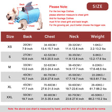 Alternate view of the Reflective Swim Vest for Dogs