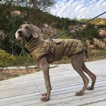 Reflective Winter Jacket for Large Dogs, product photo 3 of 8