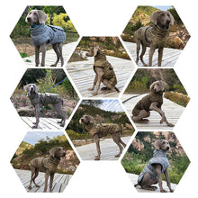 Reflective Winter Jacket for Large Dogs, product photo 7 of 8