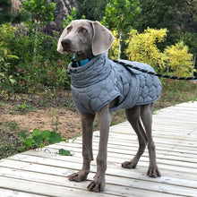 Reflective Winter Jacket for Large Dogs in Grey
