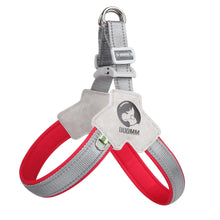 Reflective Y-Frame Dog Harness, product photo 4 of 6