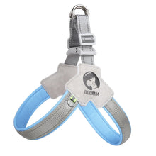 Reflective Y-Frame Dog Harness in Blue